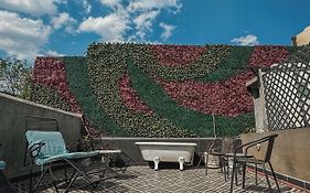 Condesa Haus Rentals